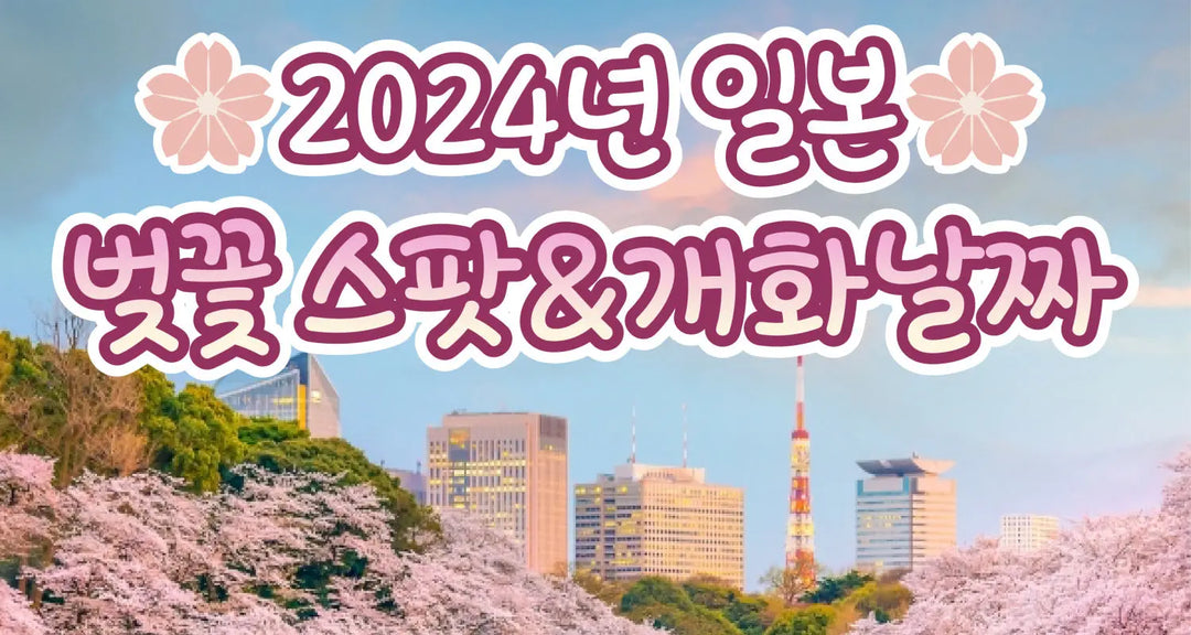 2024년-일본벚꽃-스팟-개화날짜-모코몬이-알려드릴게요 모코몬 일본직구