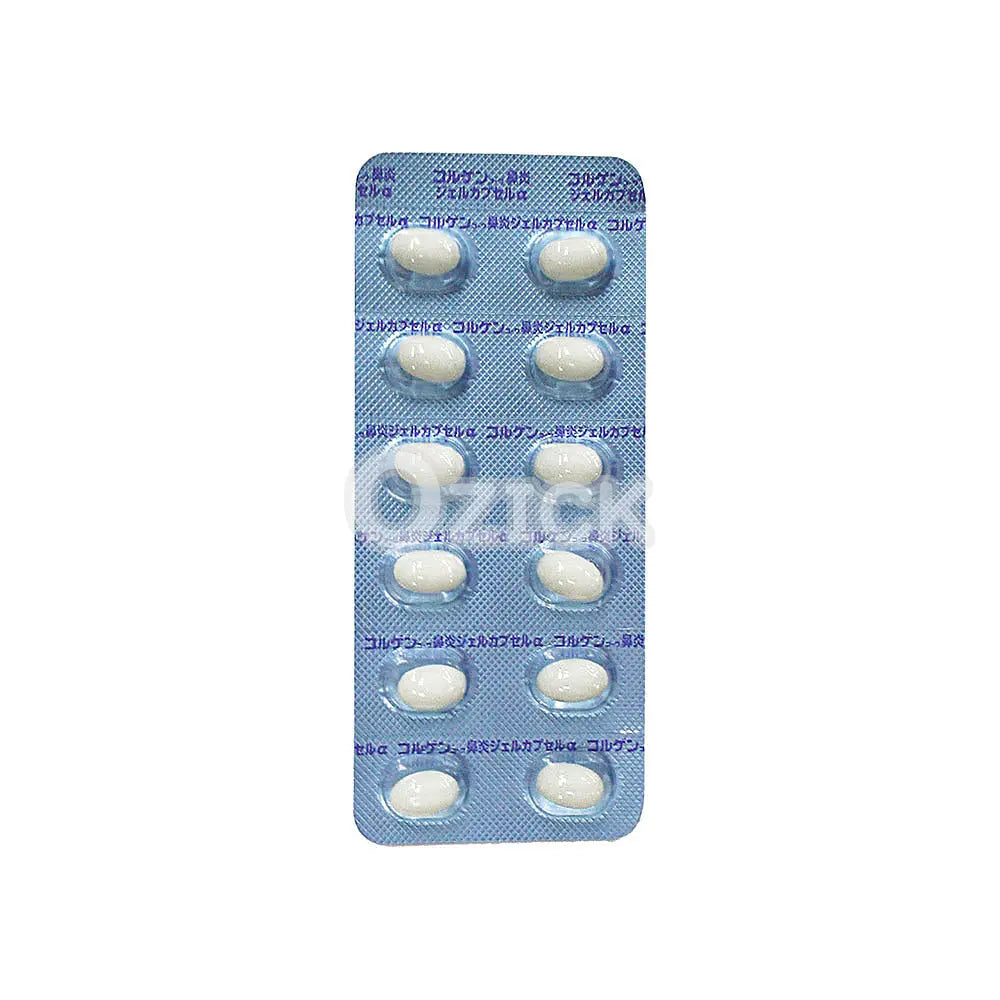 [KOWA] 코르겐코와 비염 젤 캡슐α 48캡슐 - 모코몬 일본직구